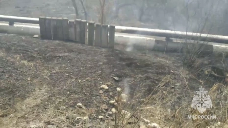 При пожаре травы в Суздальском районе пострадал 68-летний мужчина