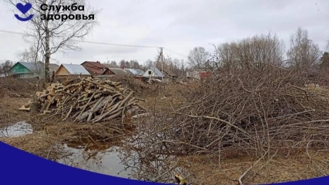 В Собинке в 2024 году откроют поликлинику на 650 пациентов в сутки 