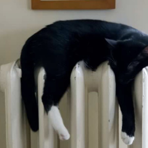 В Октябрьском районе во Владимире ночью отключат отопление