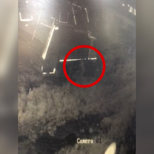 В Коврове полицейские начали проверку после инцидента с сахаром и мусоровозами