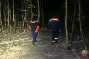 В Камешковском районе 76-летний рыбак заблудился в лесу