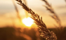 В 2026 году температура на Земле будет на 1,46 градусов выше нормы