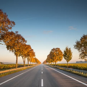 Прокуроры потребовали отремонтировать проблемную дорогу под Собинкой