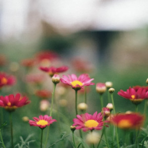 Во Владимирской области температура пойдет на спад