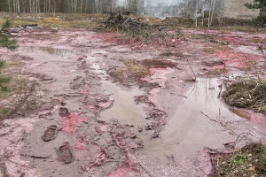 В Петушках к загрязнению земли стоками привела авария на производстве