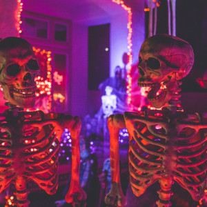 От злобных тыкв до разговоров о любви. Как провести выходные во Владимире