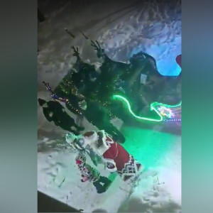 Музыкальные сани, салюты и лай собак. Как жители Владимирской области встретили Новый год 