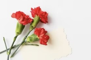 На кладбище у Владимирского централа возложили цветы в честь Неизвестного солдата