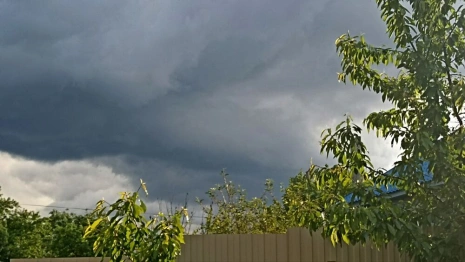 Владимирскую область накроет «ныряющий» циклон
