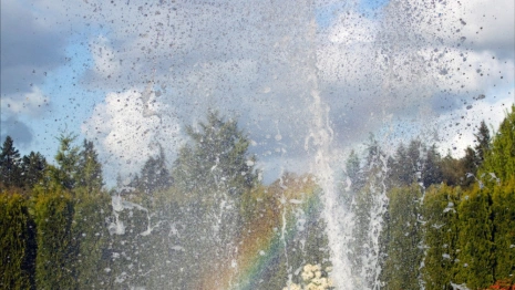 В Вязниках появится новое место отдыха и фонтан