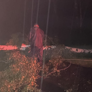 На М-7 под Камешково ураган «Орхан» повалил дерево