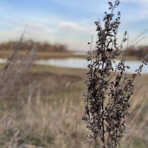 Прогноз погоды во Владимире и области на 30 марта