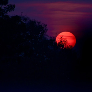 Жители Владимирской области смогут увидеть «кровавую» луну