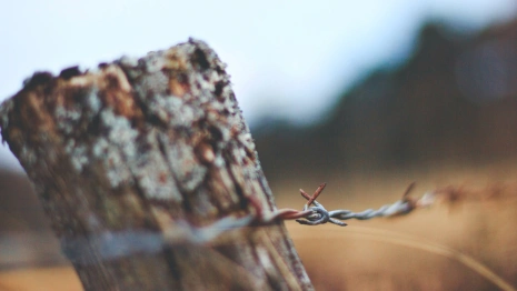 Во Владимирской области запретили въезд в леса из-за пожаров