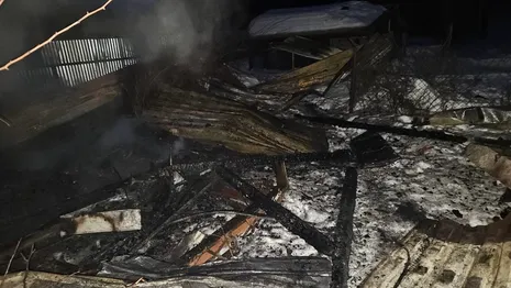 Во Владимирской области на пожаре погибла жившая с 9-ю собаками женщина