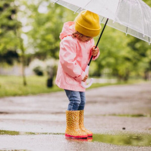 Во Владимирской области в выходные будет лить дождь