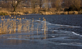 Число затопленных дворов во Владимирской области снизилось до 101
