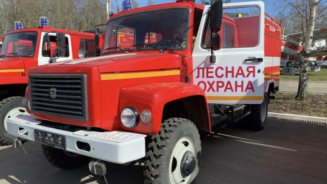 Во Владимирской области спрогнозировали ранний лесопожарный сезон