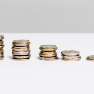 Прожиточный минимум во Владимирской области вырастет на 16%