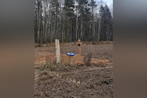Жители Владимирской области рассказали о первой могиле в поле под Соколом