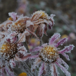 Прогноз погоды на 5 января во Владимирской области