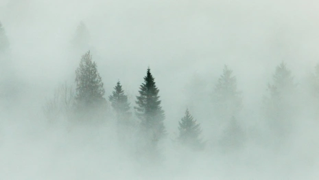 Во Владимирской области спрогнозировали туман и ухудшение видимости 3 ноября