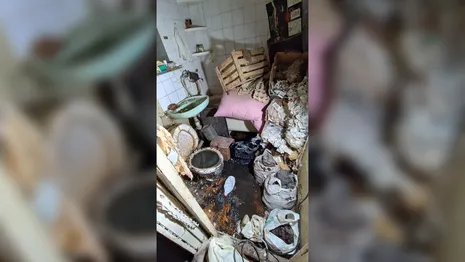 Появились фото затопленной экскрементами квартиры во Владимире