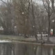 Во владимирском Соловьином пруду массово погибли мальки