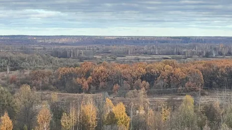 Во Владимирской области чрезвычайную пожарную опасность продлили до 30 сентября