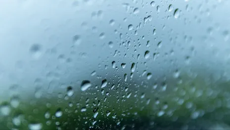 Во Владимирской области будут лить дожди на рабочей неделе
