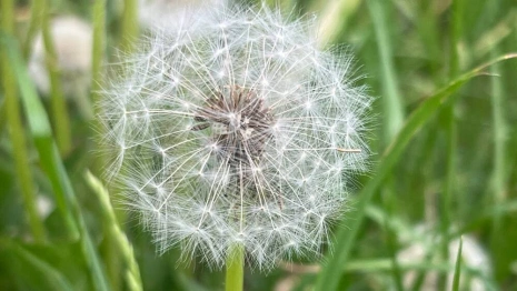 Прогноз погоды во Владимире и области на 8 июня