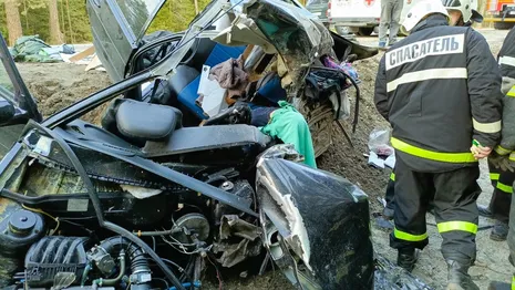 Водитель погиб в чудовищном ДТП под Судогдой