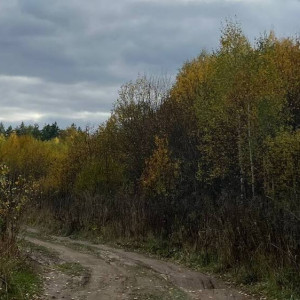 Во Владимирской области начнется метеорологическая осень