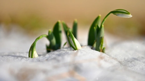 Василий Теплый: что можно и нельзя делать 4 апреля