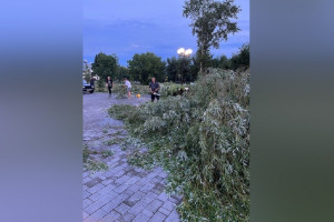 Последствия урагана во Владимире устраняли 30 человек