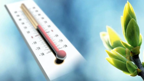 Владимирское МЧС опубликовало экстренное предупреждение на 19 апреля