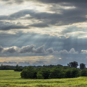 Прогноз погоды во Владимирской области на 10 июля