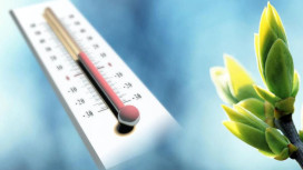 Владимирское МЧС опубликовало экстренное предупреждение на 19 апреля