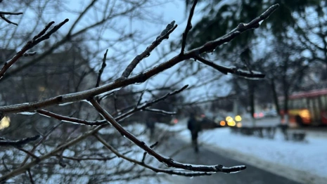 Прогноз погоды во Владимирской области на 18 января 2026 года