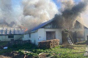 Под Суздалем загорелась гусиная ферма