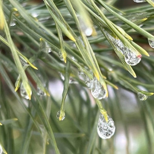 Во Владимирской области в выходные оттепель начнет отступать