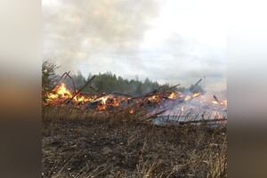 Во Владимирской области сгорел крупный склад с сеном