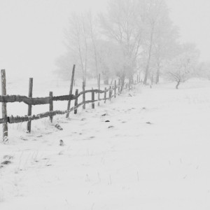Прогноз погоды во Владимирской области на 27 февраля 