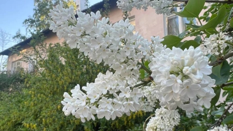 На неделе во Владимирскую область придет жара до +28 градусов