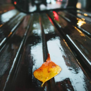 Синоптики дали прогноз на первый понедельник октября во Владимирской области