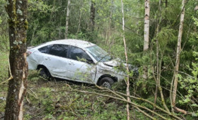 За неделю в ДТП на дорогах Владимирской области погибли 3 человека