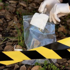 Во Владимирской области эксгумировали тело погибшей загадочным образом женщины