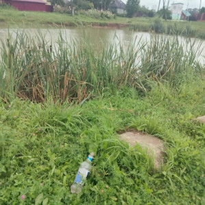 Очевидцы о трагедии в Юрьев-Польском: мать сама повела двоих детей купаться