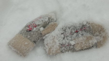 Прогноз погоды во Владимирской области на 5 марта 2026 года