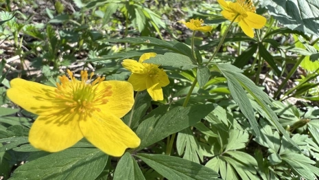 Марк Ключник: что можно и чего нельзя делать 8 мая